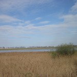 IMG_0800